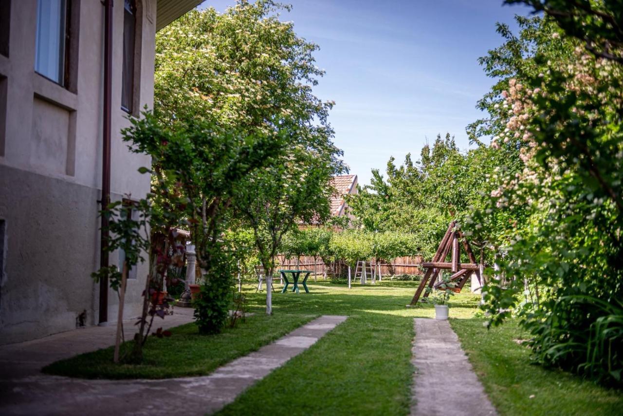 Casa Murgulet Villa Dragasani